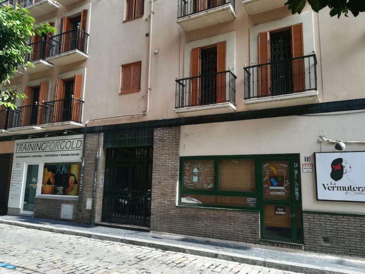 Luxury Maestranza Donkey Apartment